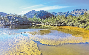 　螺髻山仙草湖。 涼山在線.jpg